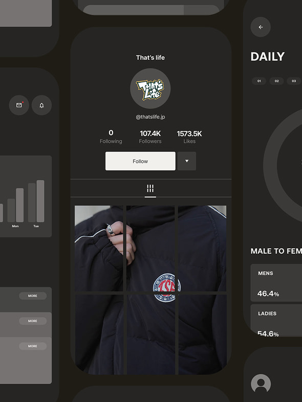 Instagramアカウントのフォロワー・いいね数などのSNS実績を可視化した運用支援サービスの画面